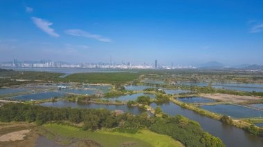 Fung Lok Wai Balık Havuzu manzarası 6 Ocak 2023