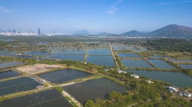 Fung Lok Wai Balık Havuzu manzarası 6 Ocak 2023