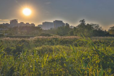 Shan Pui Köyü, Nam Sang Wai, Hong Kong 6 Ocak 2023
