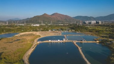 Shan Pui Balık Havuzu, Nam Sang Wai, Hong Kong 6 Ocak 2023