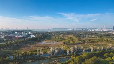 Shan Pui Balık Havuzu, Nam Sang Wai, Hong Kong 6 Ocak 2023