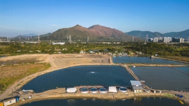 Shan Pui Balık Havuzu, Nam Sang Wai, Hong Kong 6 Ocak 2023