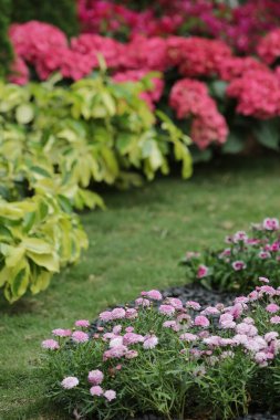 Yaprak resmi, doğa konsepti fotoğrafı.