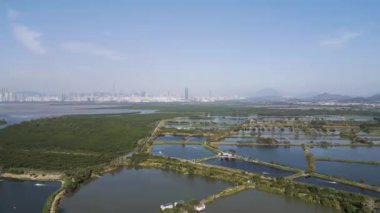 Fung Lok Wai Balık Havuzu manzarası 6 Ocak 2023