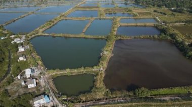 Fung Lok Wai Balık Havuzu manzarası 6 Ocak 2023