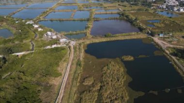 Fung Lok Wai Balık Havuzu manzarası 6 Ocak 2023