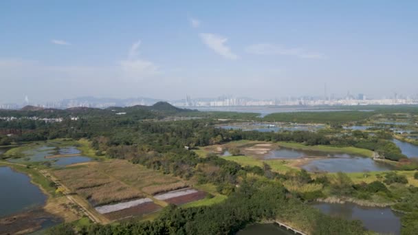 Het Landschap Van Wetland Park Hong Kong Jan 2023 — Stockvideo