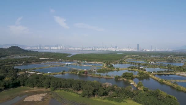 Landscape Fung Lok Wai Fish Pond Jan 2023 — Video Stock