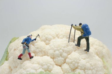 Tüm Karnabahar Sebzesinde buz tırmanışçısı figürleri