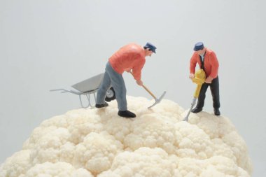 Tüm Karnabahar Sebzesi 'ndeki figürler.