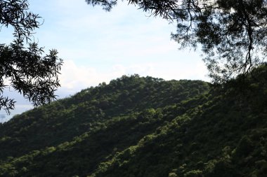 Romanya 'nın güzel kırsal kesiminin manzarası. güneşli öğleden sonra. 