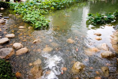 17 June 2006 the landscape of the hong kong park, hk