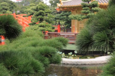 14 Oct 2012 the landscape of Nan Lian Garden, the park concept