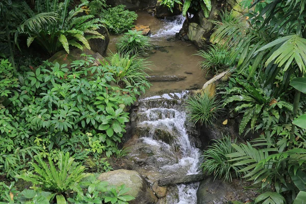 the waterfall at the hong kong park glass house