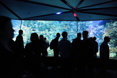 People watching big aquarium, Hong Kong 18 Nov 2012