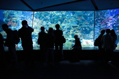 People watching big aquarium, Hong Kong 18 Nov 2012