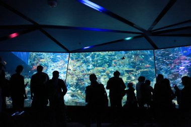 People watching big aquarium, Hong Kong 18 Nov 2012