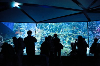 People watching big aquarium, Hong Kong 18 Nov 2012