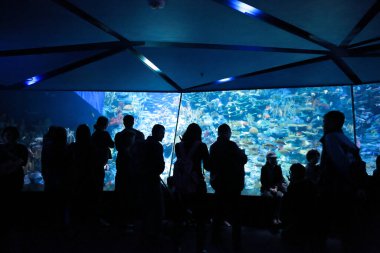 People watching big aquarium, Hong Kong 18 Nov 2012