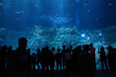 People watching big aquarium, Hong Kong 18 Nov 2012