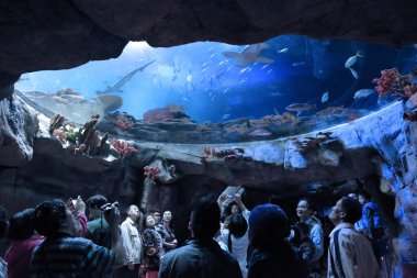 People watching big aquarium, Hong Kong 18 Nov 2012