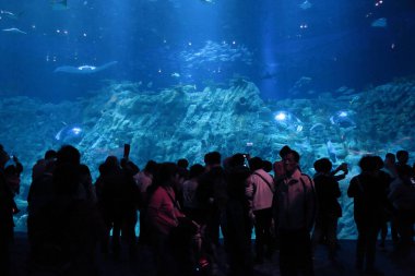 People watching big aquarium, Hong Kong 18 Nov 2012