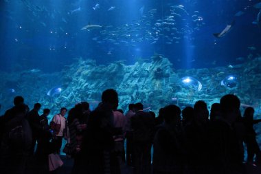 People watching big aquarium, Hong Kong 18 Nov 2012