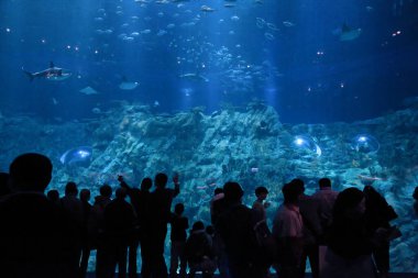 People watching big aquarium, Hong Kong 18 Nov 2012