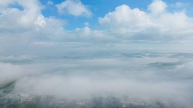 14 Jan 2022 the beautiful forest mountain landscape at sai kung