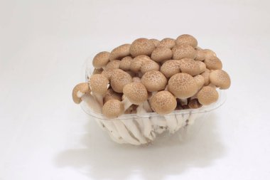 a brown shimeji mushroom with plastic package