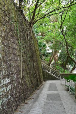 Roads, paths and tropical plants on Bowen Road, Hong Kong.