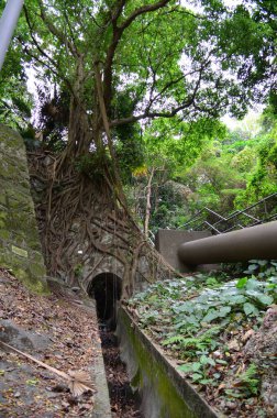 Waste ground, Waste land at hong kong