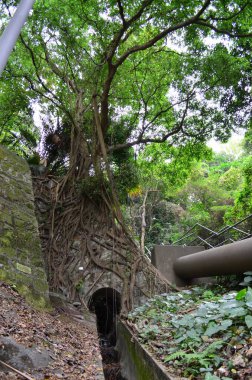 Waste ground, Waste land at hong kong