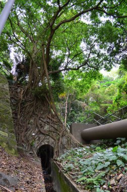 Waste ground, Waste land at hong kong