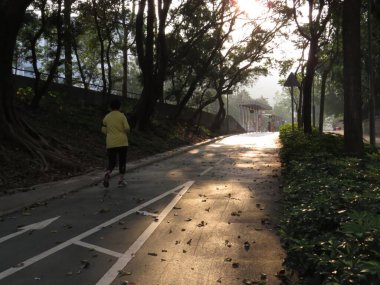 Path Through The solar light, the city pathway