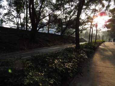 Path Through The solar light, the city pathway