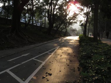 Path Through The solar light, the city pathway