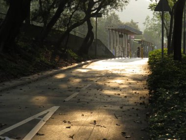 Path Through The solar light, the city pathway