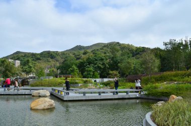 11 Feb 2013 the landscape of Hang Hau Man Kuk Lane Park