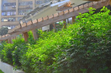 12 Feb 2013 the Zero Carbon Building in Hong Kong, klm