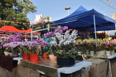 HK Chinese New Year Flower Markets, po hong park 19 Jan 2023