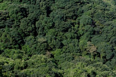 26 Sept 2007 a landscape of the fall season, Tung Yeung Shan