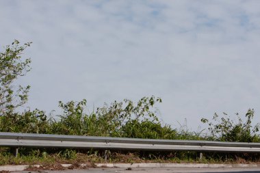 26 Sept 2007 a landscape of the fall season, Tung Yeung Shan