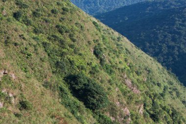 26 Sept 2007 a landscape of the fall season, Tung Yeung Shan