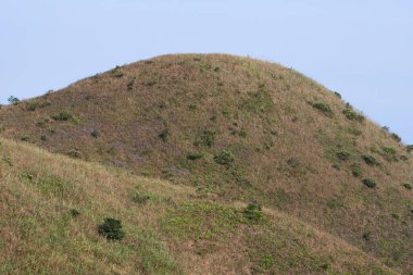 26 Sept 2007 a landscape of the fall season, Tung Yeung Shan