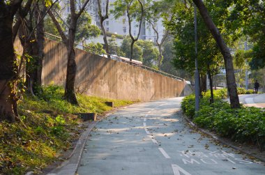 Road in park, Solar spotlights in the park