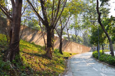 Road in park, Solar spotlights in the park