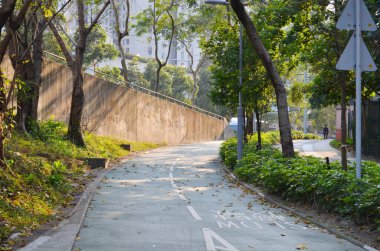 Road in park, Solar spotlights in the park