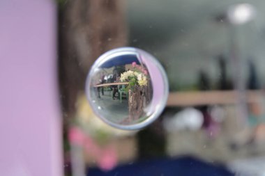 Doğa konsepti, bahçedeki çiçek.