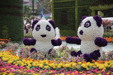 Doğa konsepti, bahçedeki çiçek.